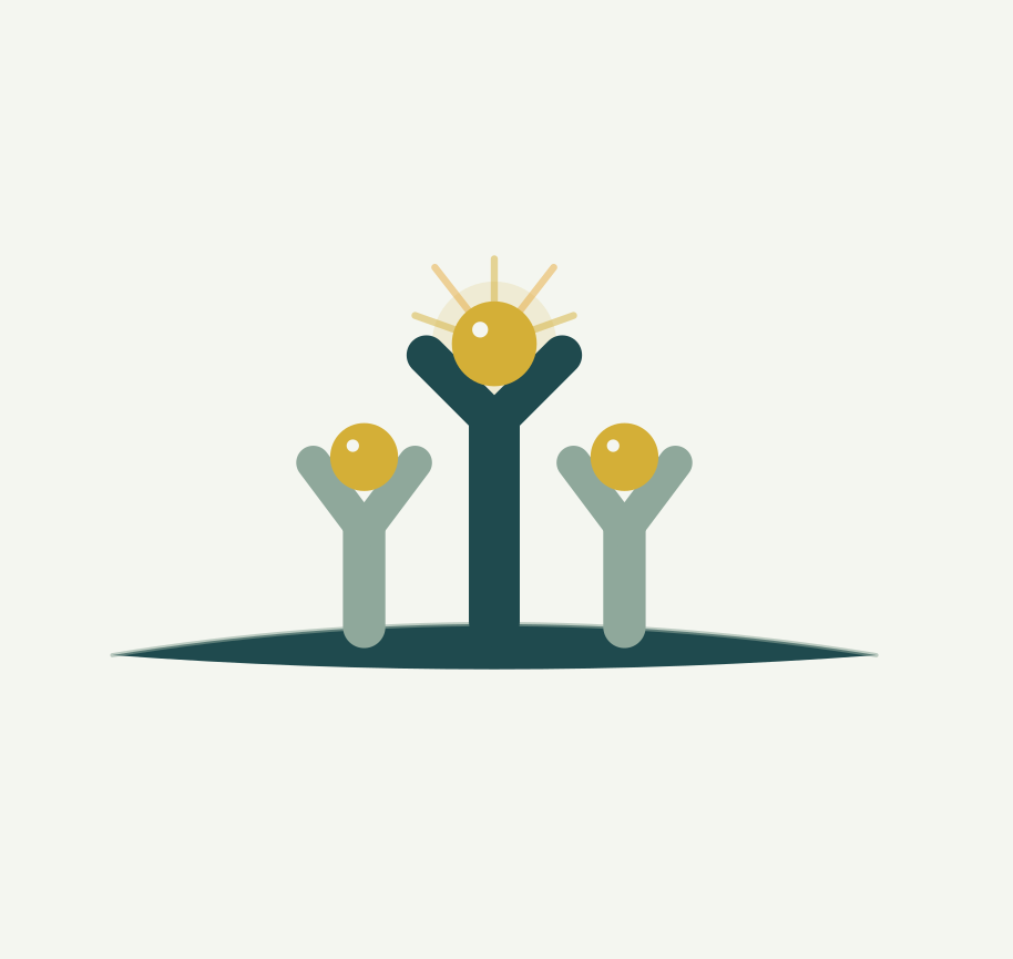 Tilth Consultancy